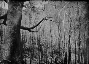 china muerta004 copia